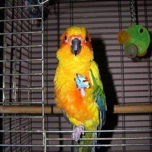 Meet your Posher, Paula